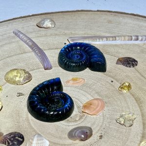 Escargots en Labradorite