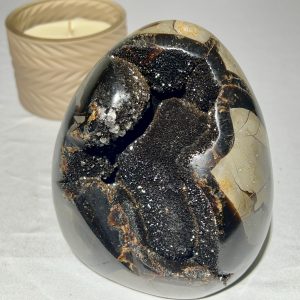 Forme Libre Septaria Sauvage - 1600g