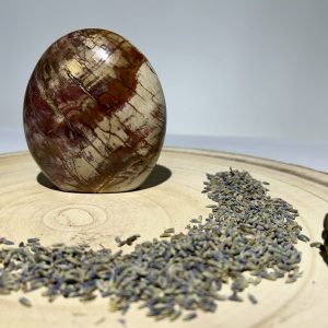 Forme Libre Bois Fossilisé - 500g