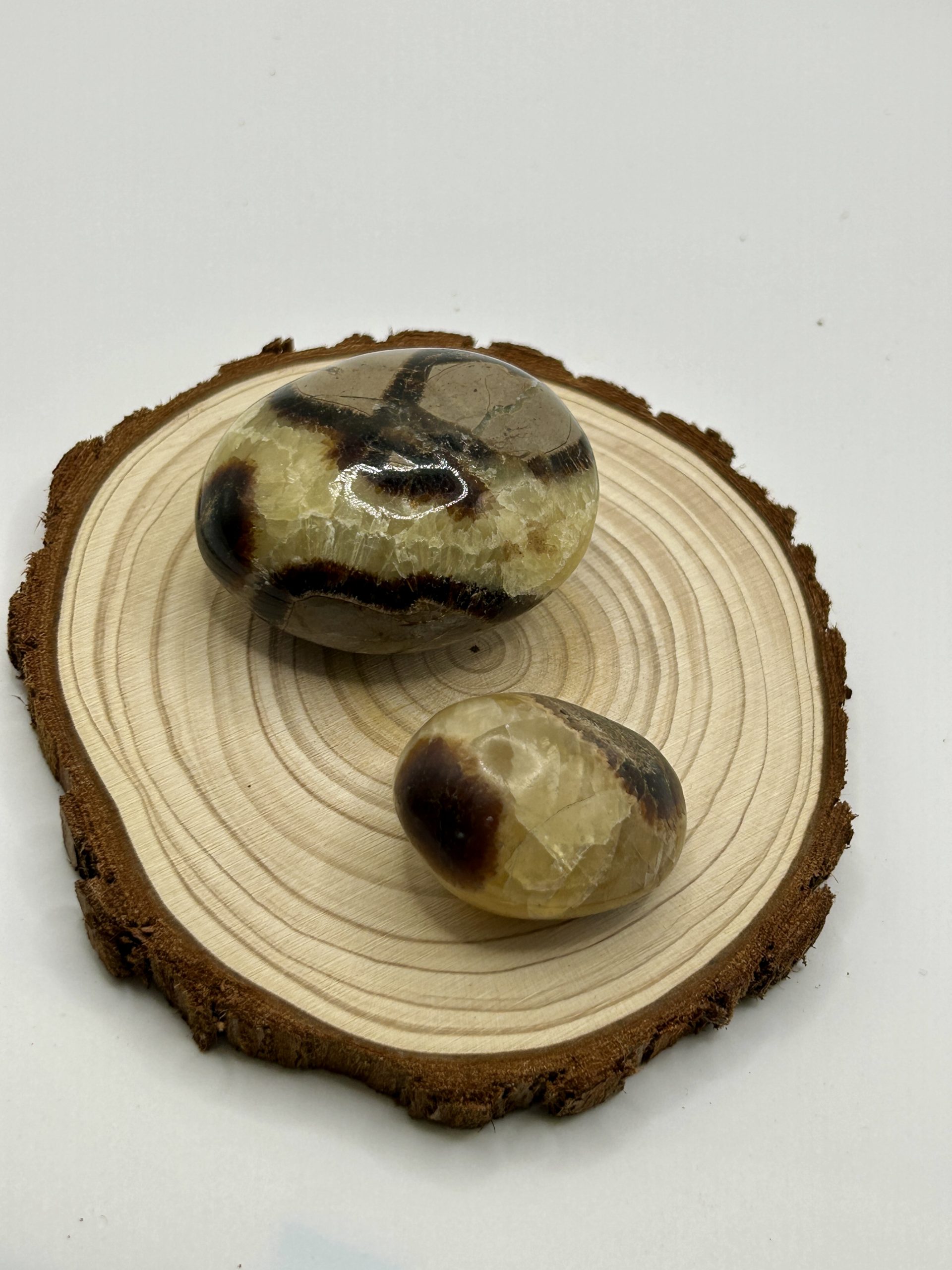 Galet Septaria - 75 g